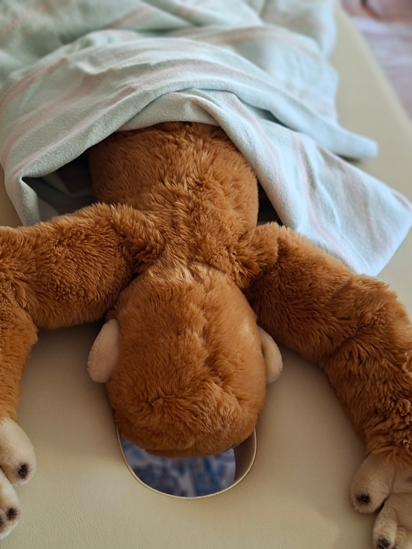 Plüsch-Affe liegt zugedeckt auf der Behandlungsliege, symbolisch für kindgerechte Vorbereitung und vertraute Begleitung